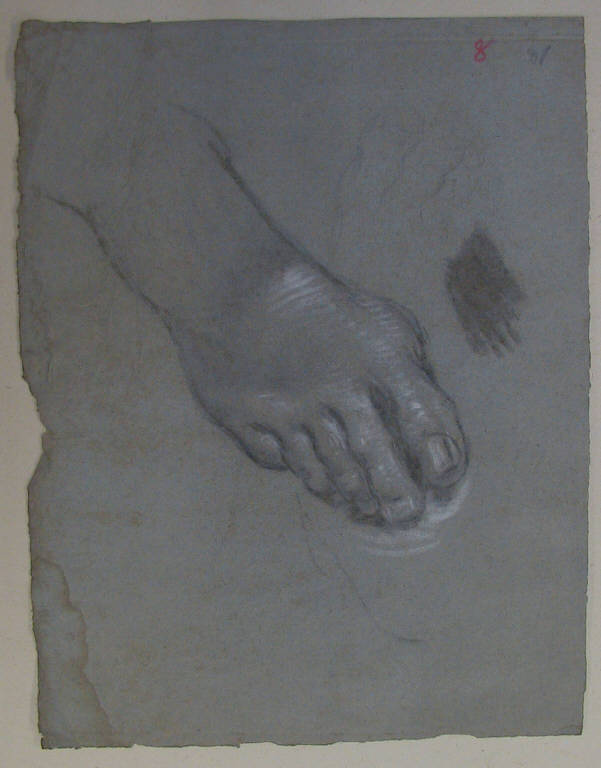 Piede (disegno) di Ligari Cesare (secondo quarto sec. XVIII)
