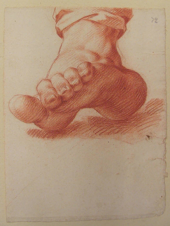 Piede (disegno) di Ligari Giovanni Pietro (secondo quarto sec. XVIII)