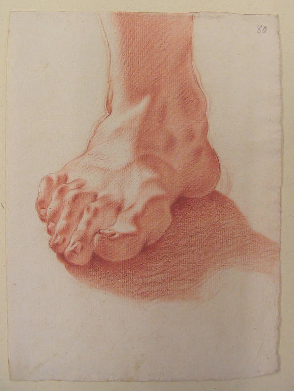 Piede (disegno) di Ligari Giovanni Pietro (secondo quarto sec. XVIII)