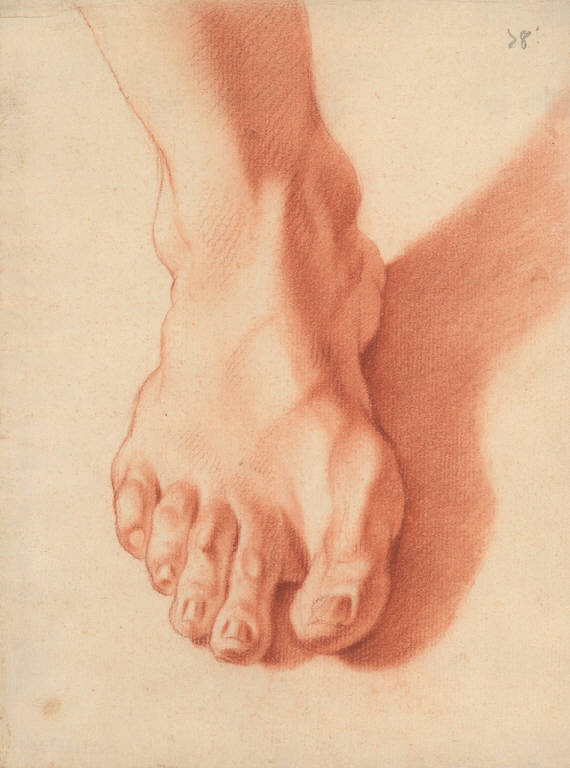 Piede (disegno) di Ligari Giovanni Pietro (secondo quarto sec. XVIII)