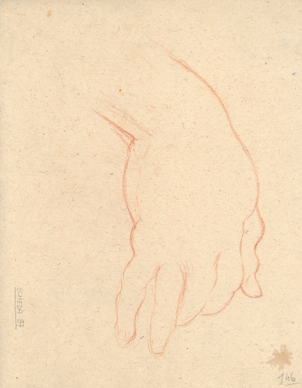 Mano (disegno) di Ligari Giovanni Pietro; Ligari Cesare (prima metà sec. XVIII)