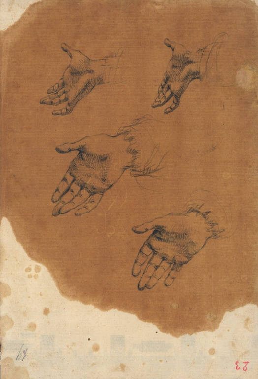 Mani (disegno) di Ligari Cesare (terzo quarto sec. XVIII)