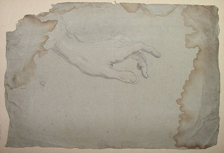 Mano (disegno) di Ligari Vittoria (sec. XVIII)