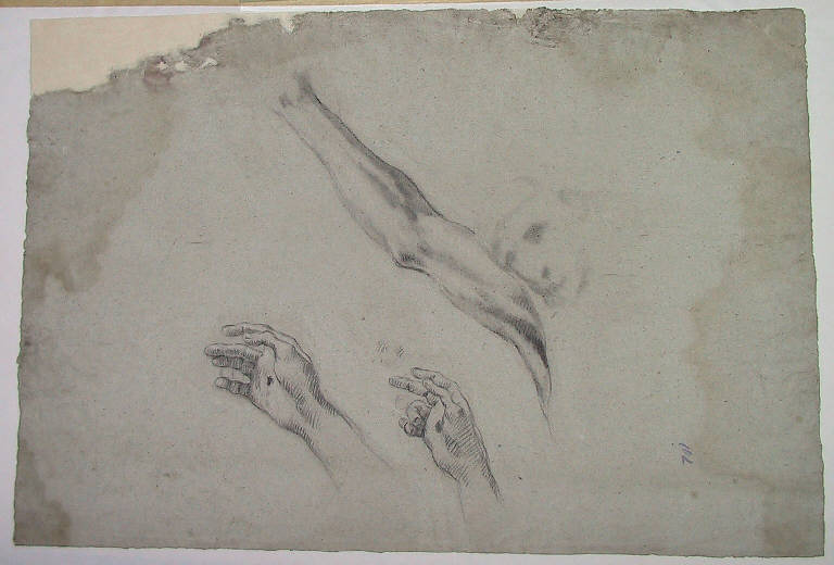Studio di braccia e mani per crocifisso (disegno) di Ligari Cesare (sec. XVIII)