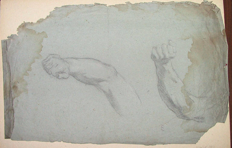 Braccia (disegno) di Ligari Cesare (sec. XVIII)