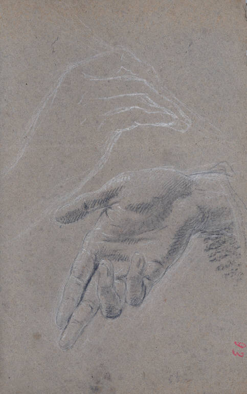 Mani (disegno) di Ligari Cesare (secondo quarto|| sec. XVIII||sec. XVIII)