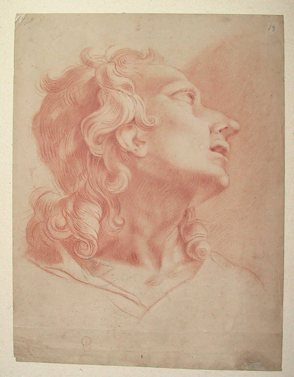 testa d'uomo (disegno) di Ligari Giovanni Pietro (inizio sec. XVIII)