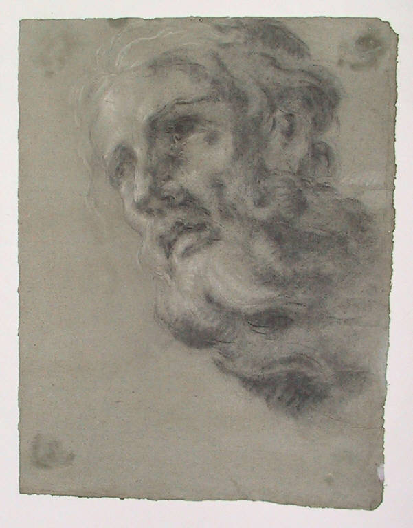 Testa barbuta (disegno) di Ligari Cesare (secondo quarto sec. XVIII)