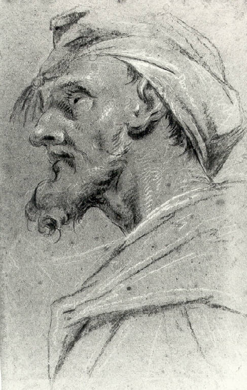 Testa d'uomo di profilo (disegno) di Ligari Cesare (prima metà sec. XVIII)