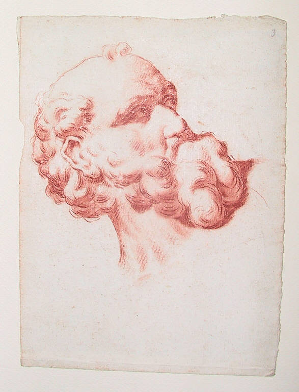 Testa barbuta (disegno) di Ligari Giovanni Pietro (inizio sec. XVIII)