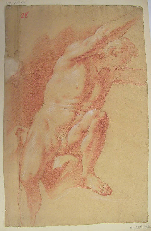 Figura maschile (disegno) di Ligari Giovanni Pietro; Ligari Cesare (prima metà sec. XVIII)