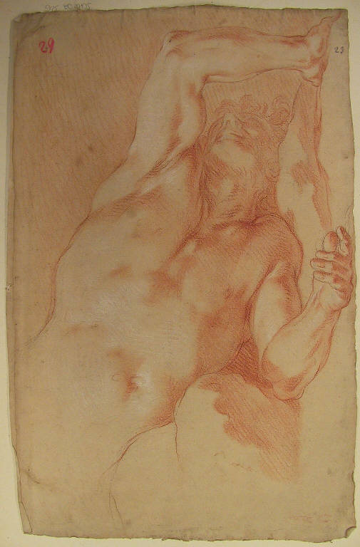 Busto maschile (disegno) di Ligari Giovanni Pietro (prima metà sec. XVIII)