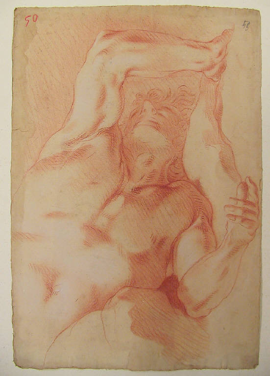 Busto maschile (disegno) di Ligari Giovanni Pietro (prima metà sec. XVIII)