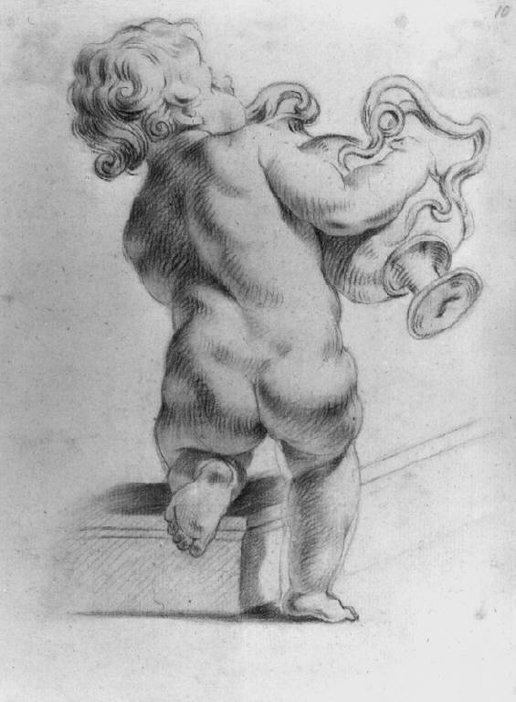 Puttino con vaso ansato (disegno) di Ligari Giovanni Pietro (secondo quarto sec. XVIII)