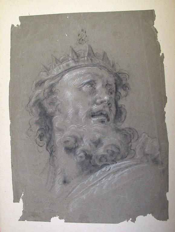 Testa di re con corona (disegno) di Ligari Cesare (terzo quarto sec. XVIII)
