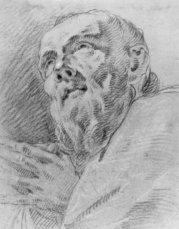 Testa barbuta (disegno) di Ligari Cesare (sec. XVIII)