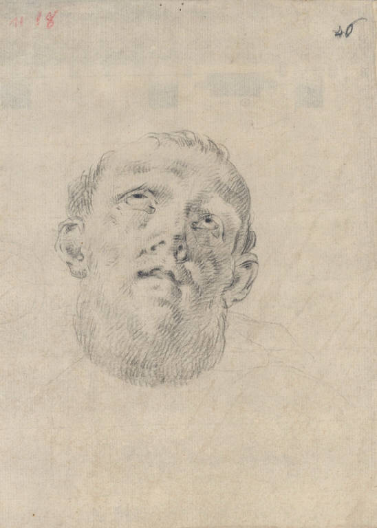 testa d'uomo (disegno) di Ligari Cesare (sec. XVIII)