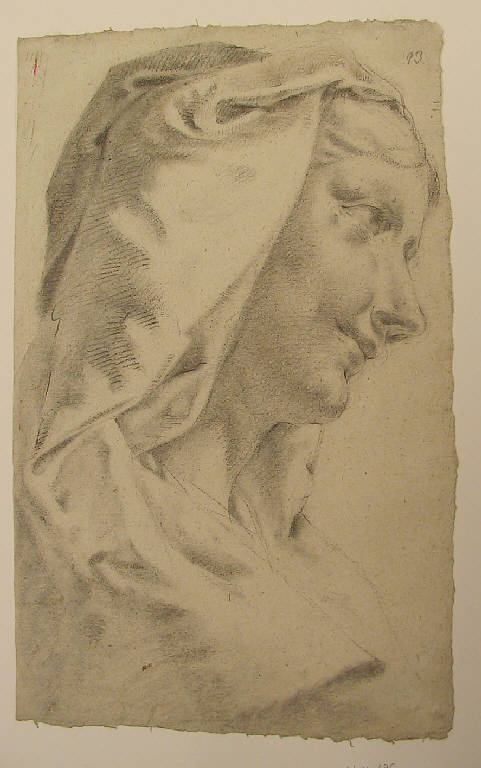 Testa di donna velata (disegno) di Ligari Angelo (prima metà sec. XIX)