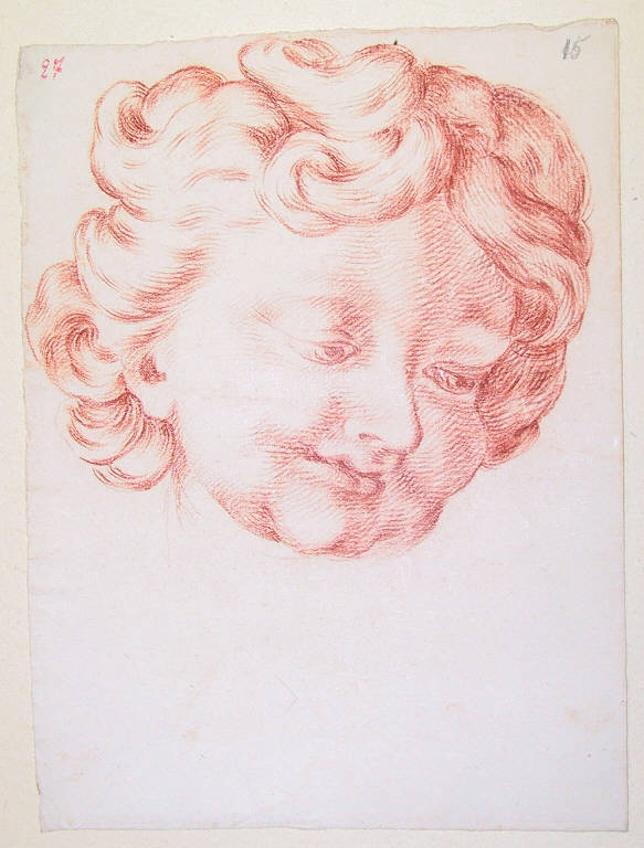 Testa di fanciullo (disegno) di Ligari Cesare (sec. XVIII)