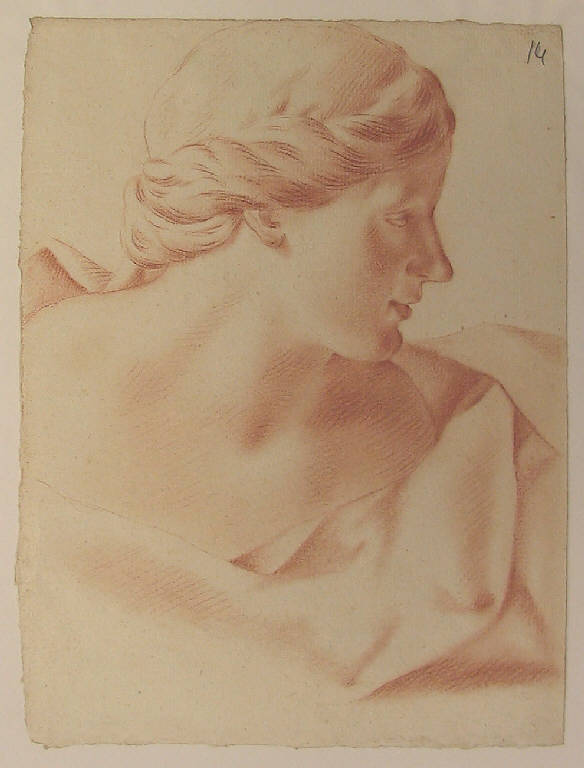 Busto femminile di profilo (disegno) di Ligari Giovanni Pietro (sec. XVIII)