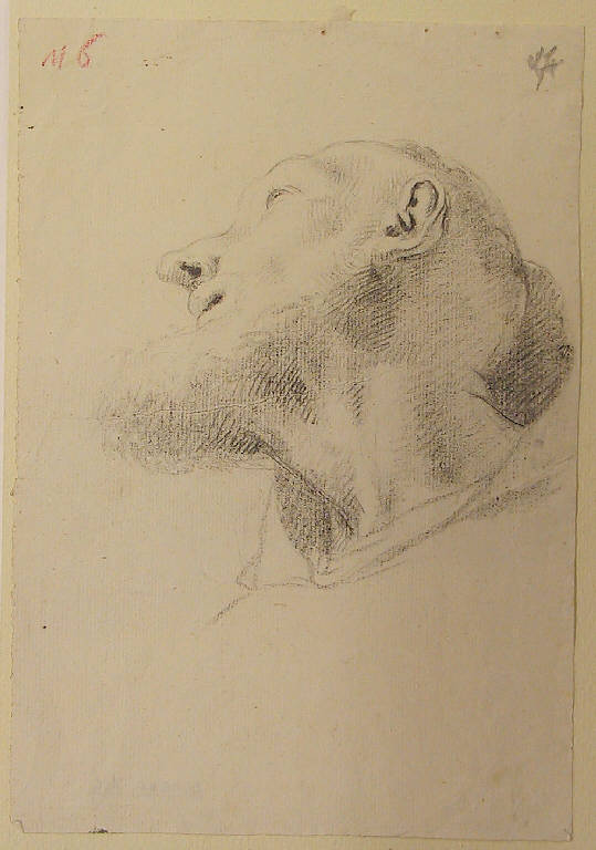 Testa barbuta (disegno) di Ligari Cesare (sec. XVIII)