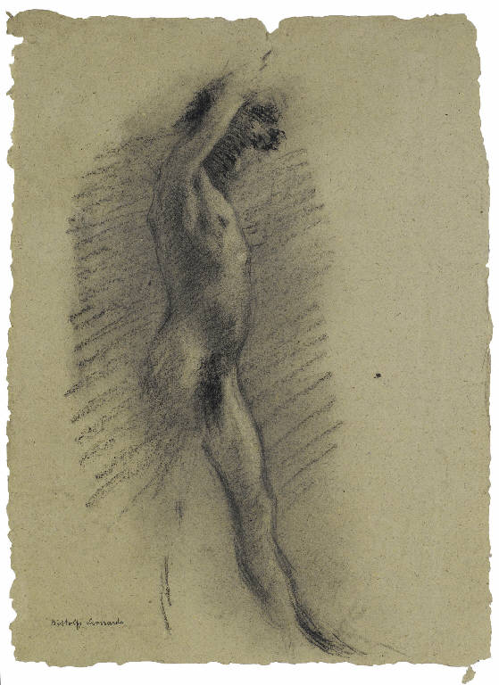Studio di nudo virile (disegno) di Bistolfi, Leonardo (secc. XIX/ XX)