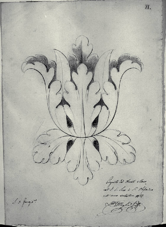 Ornato floreale (disegno) di Amati, Marco (sec. XIX)