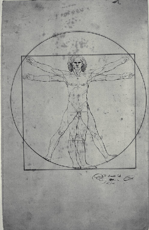 Canone delle proporzioni di Vitruvio (disegno) di Amati, Carlo (sec. XIX)