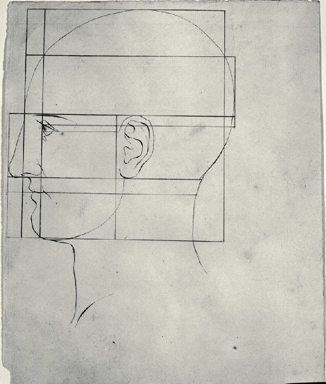 Proporzioni di testa umana (disegno) di Amati, Carlo (sec. XIX)