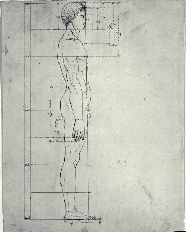 Canoni delle proporzioni del corpo umano (disegno) di Amati, Carlo (sec. XIX)