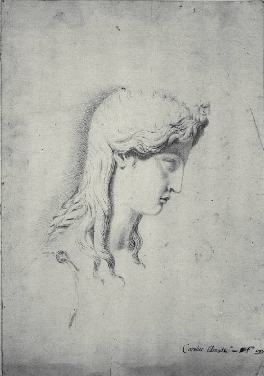 Profilo femminile (disegno) di Amati, Carlo (sec. XIX)