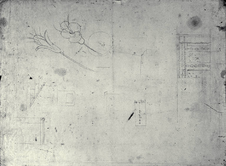 Fascia decorativa a ovoli (?) (schizzo) di Amati, Carlo (inizio sec. XIX)