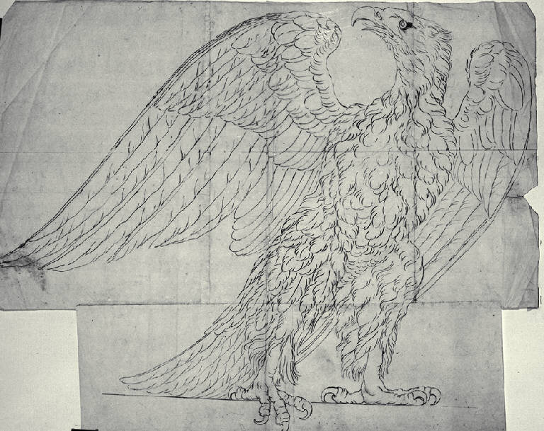 Aquila di coronamento (disegno) di Amati, Carlo (sec. XIX)