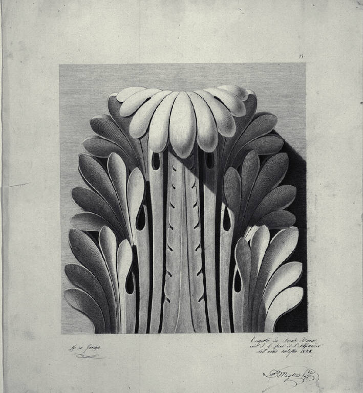 Ornato con foglia d'acanto (disegno) di Amati, Marco (sec. XIX)