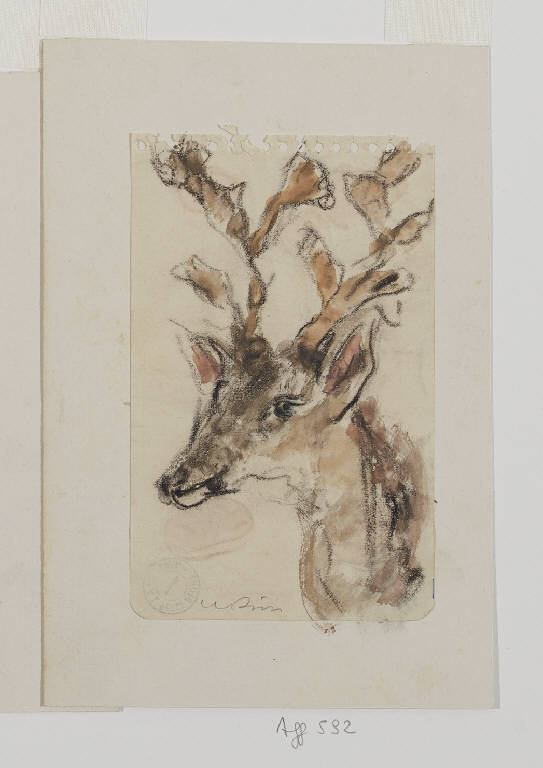 Décor di Teresa nel bosco n. 16, Studio per testa di grande cervo (disegno) di Tibertelli, Filippo detto De Pisis Filippo (sec. XX)