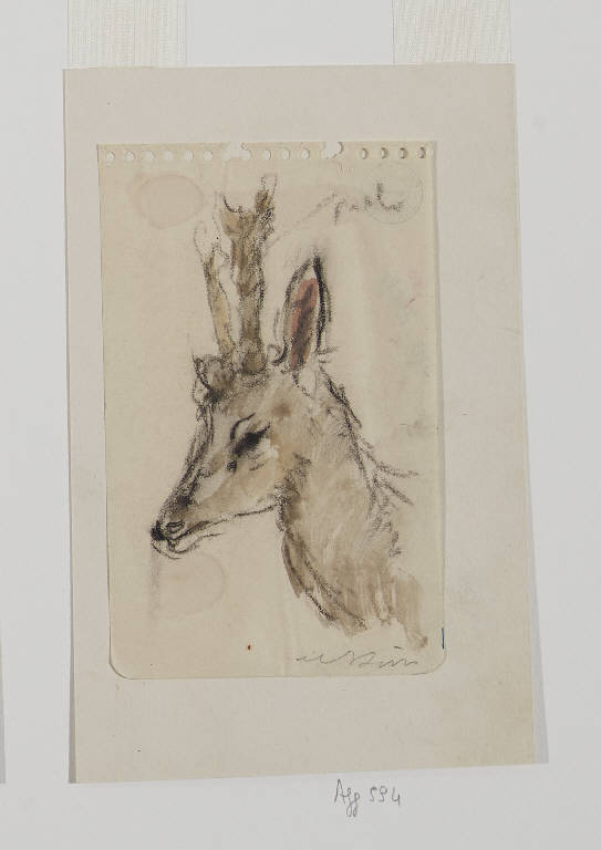 Décor di Teresa nel bosco n. 17, Studio per testa di giovane cervo (disegno) di Tibertelli, Filippo detto De Pisis Filippo (sec. XX)