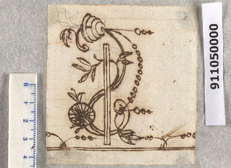 Motivo decorativo floreale (disegno) di Sardini, Giacomo (sec. XVIII)