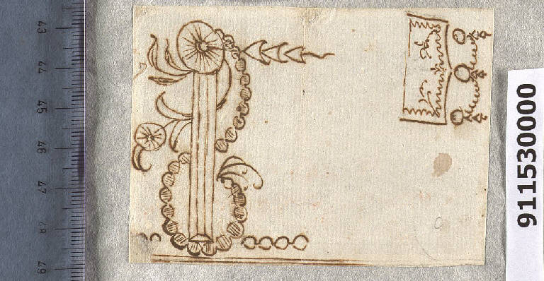 Motivi decorativi floreali (disegno) di Sardini, Giacomo (sec. XVIII)