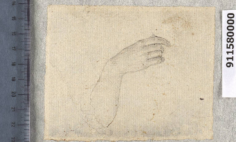 Braccio femminile (disegno) di Sardini, Giacomo (fine sec. XVIII)