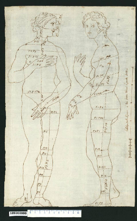 Venere Medici vista di fronte e di profilo (disegno) - ambito italiano (secc. XVII/ XVIII)