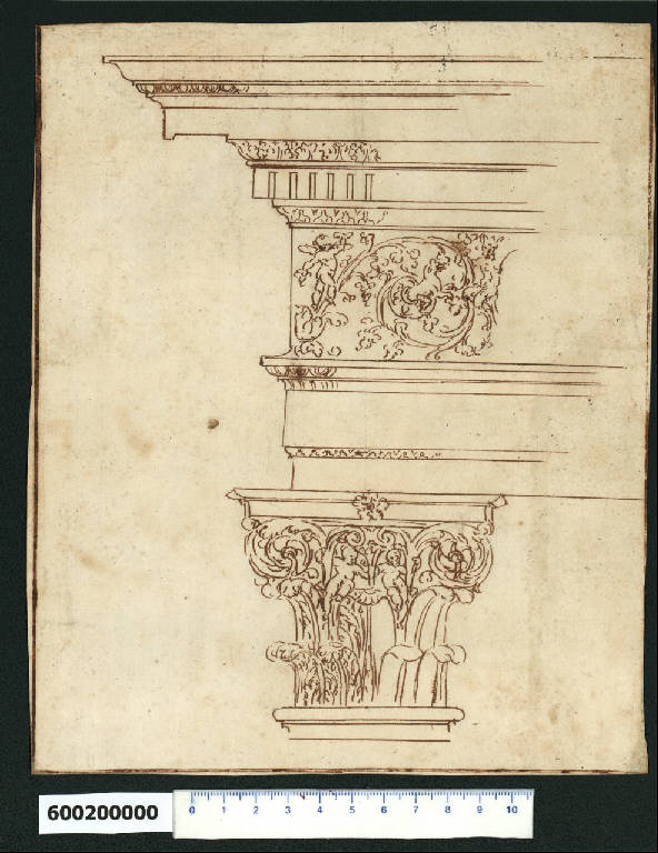 Prospetto di capitello e trabeazione dell'ordine composito (disegno) di Montano, Giovanni Battista (e aiuti) (secc. XVI/ XVII)