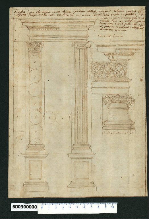 Prospetto e dettagli dell'ordine ionico (disegno) di Montano, Giovanni Battista (e aiuti) (secc. XVI/ XVII)