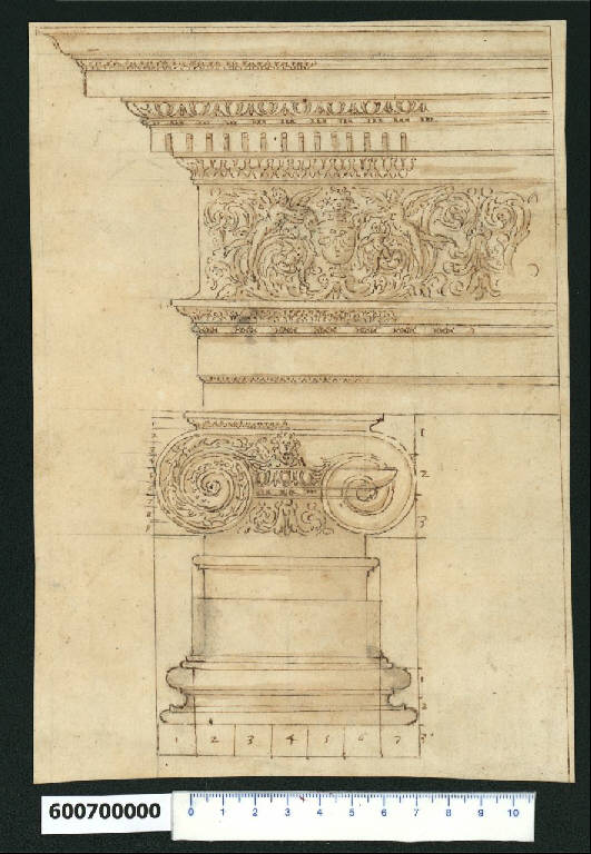 Base, capitello e trabeazione dell'ordine ionico (disegno) di Montano, Giovanni Battista (e aiuti) (secc. XVI/ XVII)