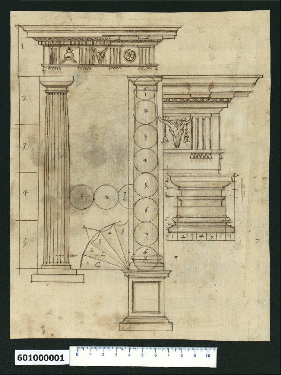 Prospetto e dettagli dell'ordine dorico (disegno) di Montano, Giovanni Battista (e aiuti) (secc. XVI/ XVII)