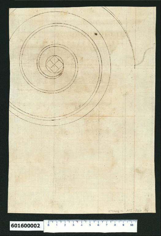Voluta del capitello ionico (disegno) - ambito romano (primo quarto sec. XVII)