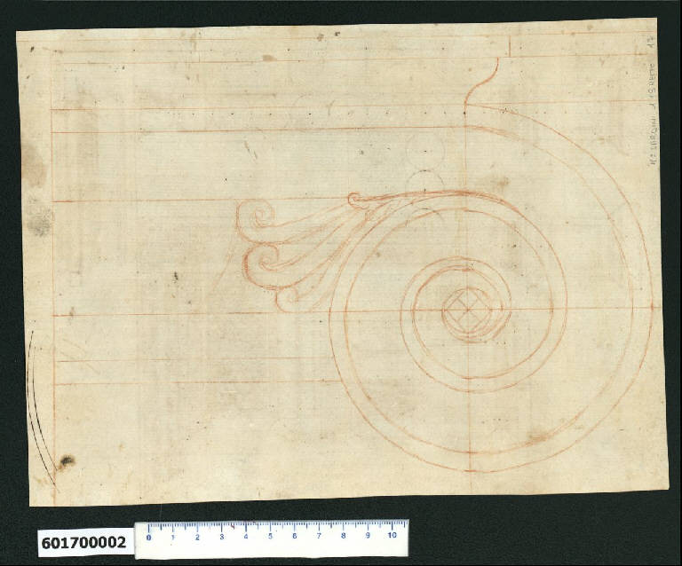 Voluta del capitello ionico (disegno) - ambito romano (primo quarto sec. XVII)
