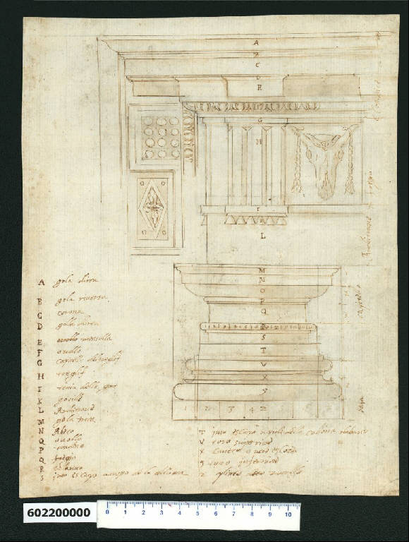 Base, capitello e trabeazione dell'ordine dorico (disegno) di Montano, Giovanni Battista (e aiuti) (secc. XVI/ XVII)