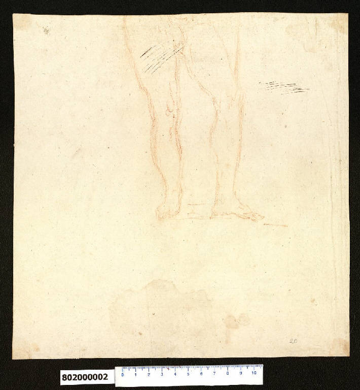 Gambe di nudo virile (schizzo) di Sardini, Giacomo ((?)) (ultimo quarto sec. XVIII)