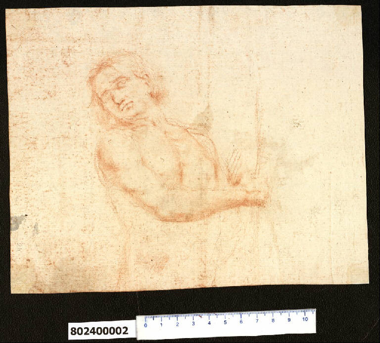Busto di nudo virile (disegno) di Sardini, Giacomo ((?)) (ultimo quarto sec. XVIII)