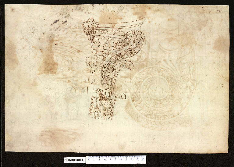 Capitello corinzio (disegno) - ambito romano (secc. XVI/ XVII)